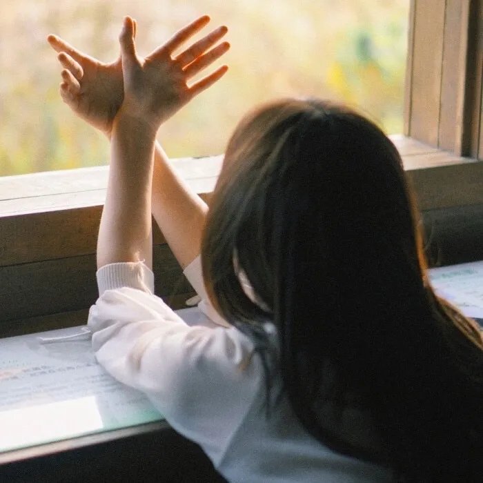 龙门驿站之太阳花